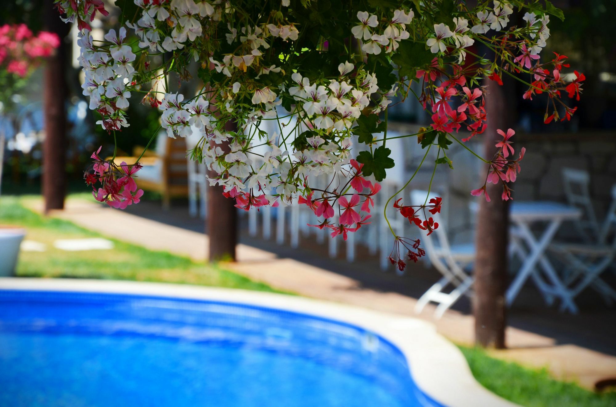 Tasquartas Hotel Alacati Kültér fotó